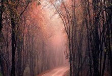 开云体育直播-2026世界杯A组焦点战，佩德里主导紧凑节奏，阿根廷力克摩洛哥